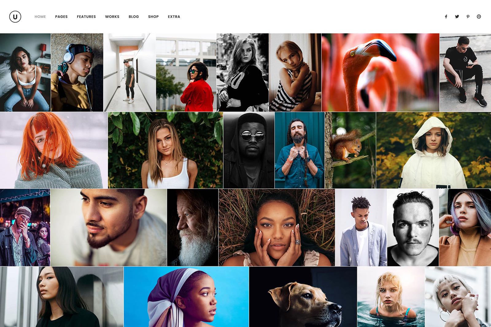 Portfolio Gallery - Formarte